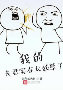 我的夫君实在太妖孽了